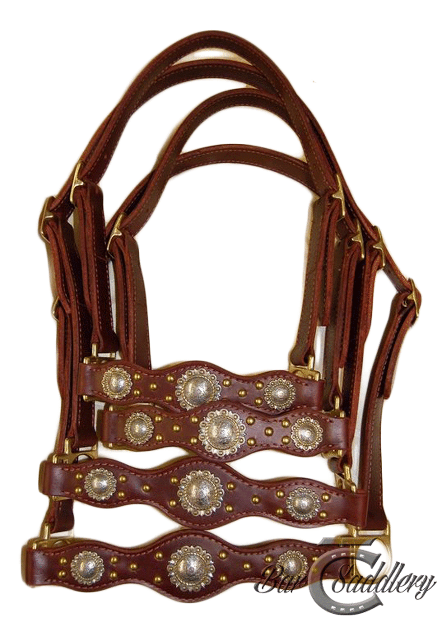 Cattle show halters with scalloped nose for two cow-calf sets. Shown in burgundy bridle leather with brass hardware, silver with brass conchos and brass spots.  Leads not shown